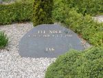 Eli Noer.JPG